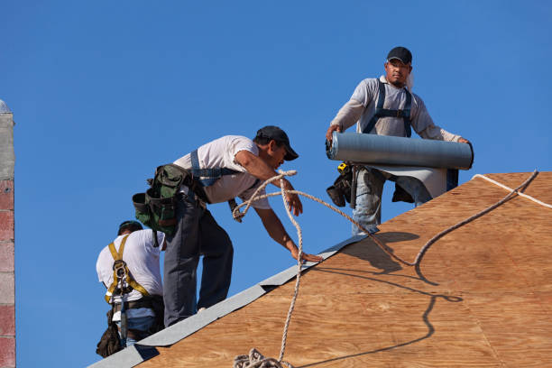 Best Roof Gutter Cleaning  in New Rochelle, NY